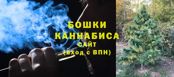 apvp Арсеньев